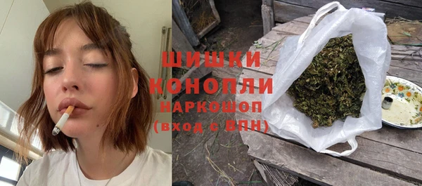 ПСИЛОЦИБИНОВЫЕ ГРИБЫ Кулебаки