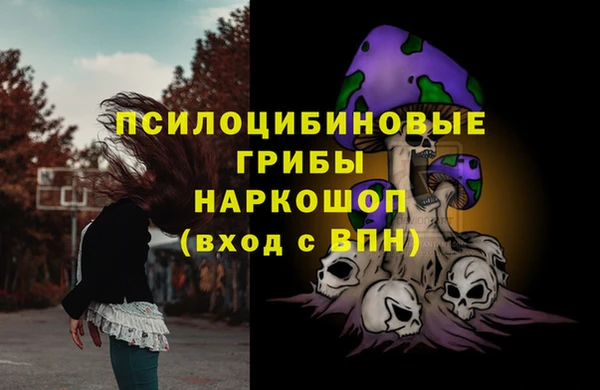 ПСИЛОЦИБИНОВЫЕ ГРИБЫ Кулебаки