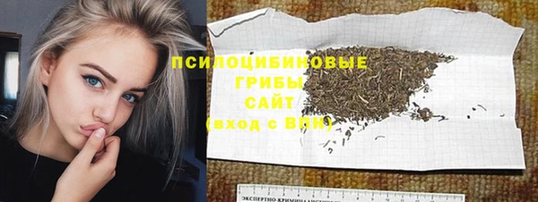 ПСИЛОЦИБИНОВЫЕ ГРИБЫ Кулебаки