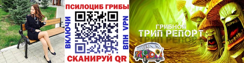 Псилоцибиновые грибы мицелий  Купить где  Кулебаки 